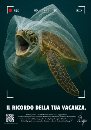 Bronzo Sezione Stampa brief Accordo Pelagos