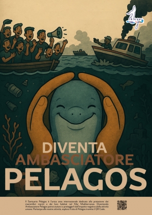 Argento Sezione Stampa brief Accordo Pelagos